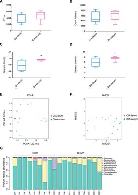 Regional Differences in the Gut Microbiota and Gut-Associated Immunologic Factors in the Ileum and Cecum of Rats With Collagen-Induced Arthritis